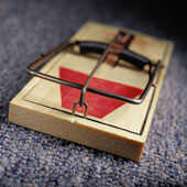  A Mouse trap