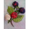 Blackberries