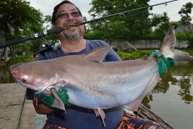 World+record+mekong+catfish