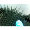 Windscreen Chip Repaired