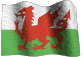 Place image here