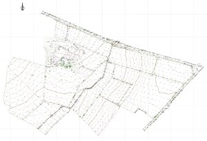Topographical Survey
