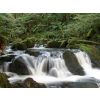 Golitha Falls 1