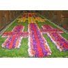 A new carpet for the Church floor