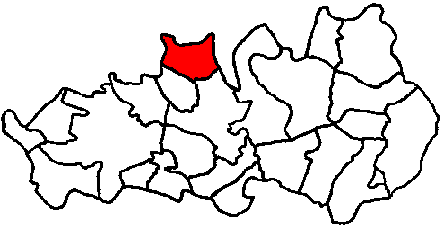 Place image here