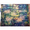 Lily Pond