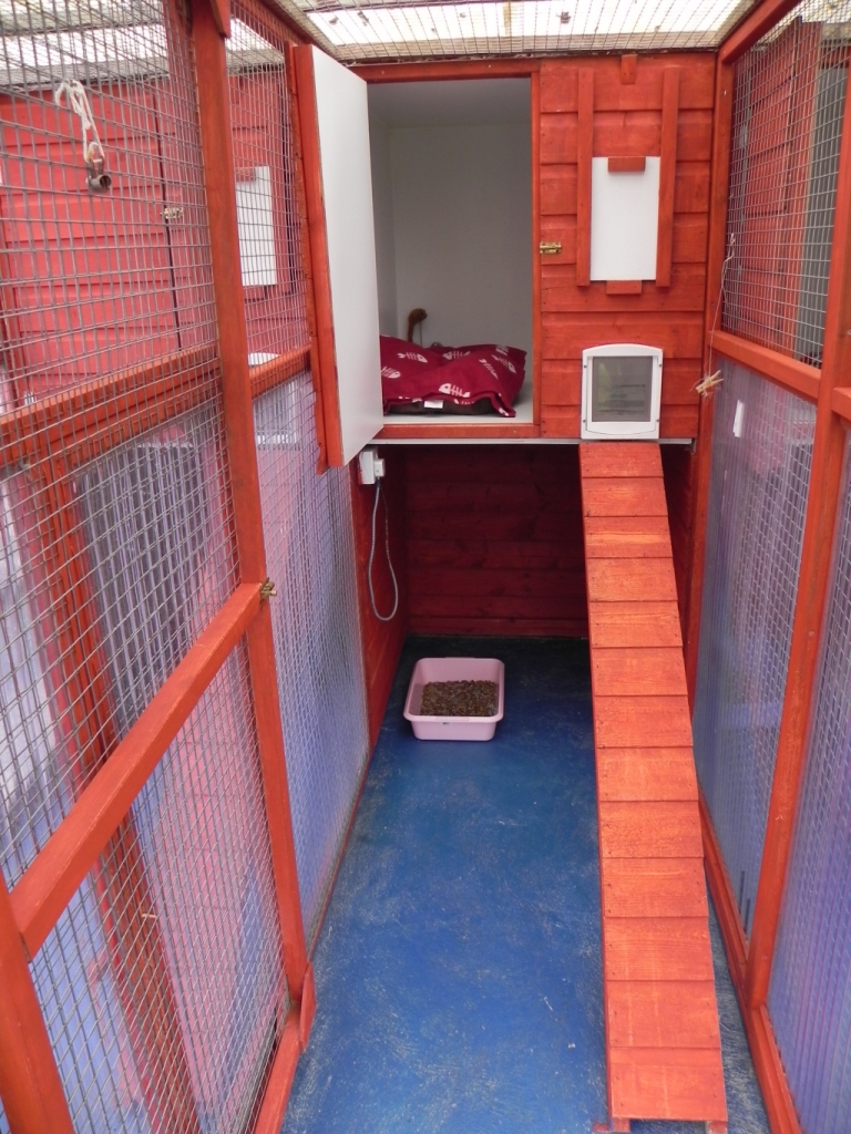  Single cat chalet