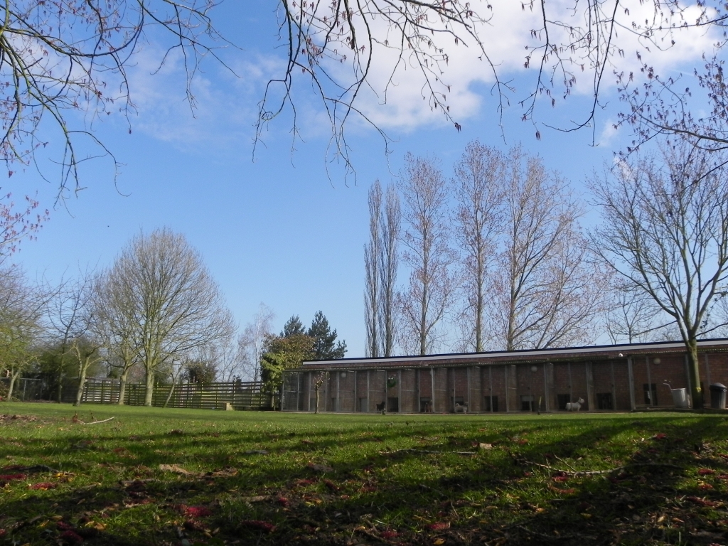  Orchard exercise area