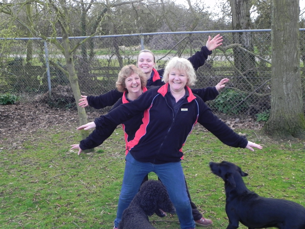 The Girls