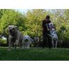 Mollie Kayla and Max
