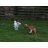 Alfie and Tilley