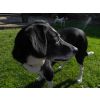 Is this my best side?????