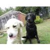 Oscar and Monty