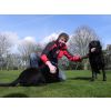 Luke with Milly and Max