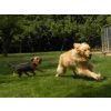 Monty and Herbie