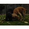 Amber and Tiegan