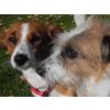 Lily and Rosie