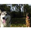 Roxy and Jake