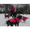Fun in the snow