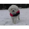 Barney