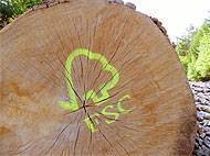 FSC Chain of Custody Consultant