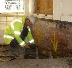 Timber condition surveys