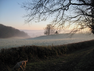 Dawn over Kerswell Down