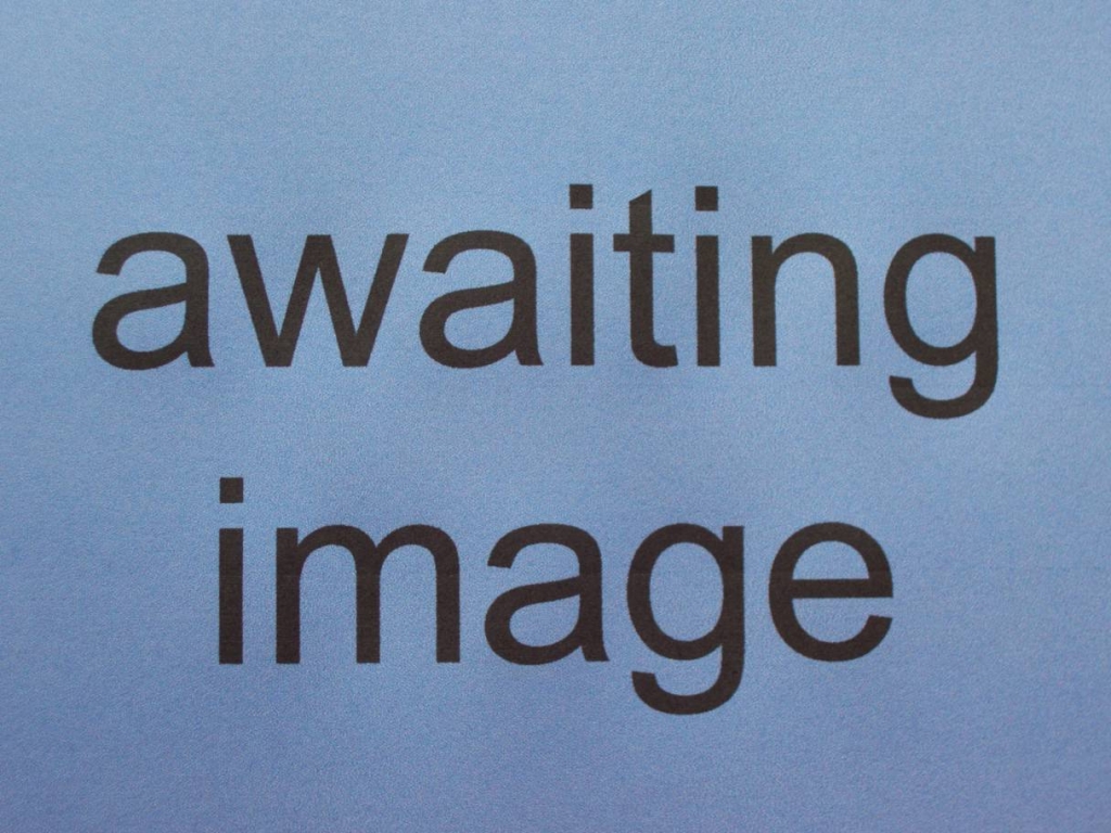 Place image here