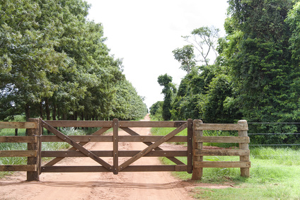 Place image here