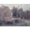 A very poor image of hop pickers at work