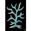 Antler Tree