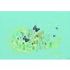 Butterflies, colour