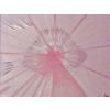 Pink Slip