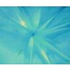 Blue Starburst