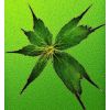 Green Leaves