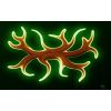 New Antlers