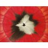 Poppy