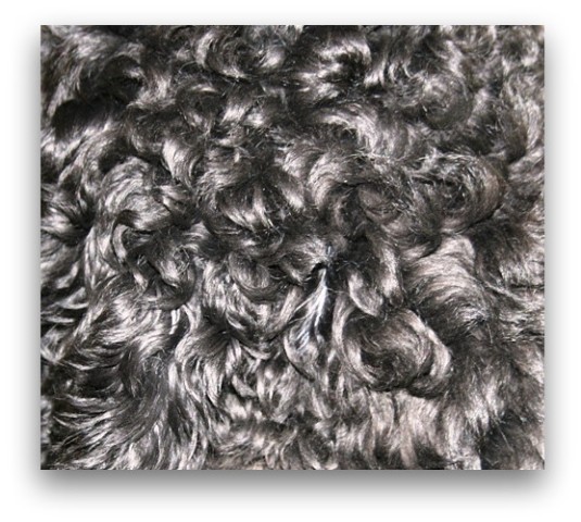 soft wool coat