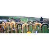 Walking Stick Competion