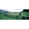 The Summer Fair Hawes