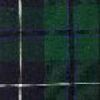 Douglas Modern Tartan