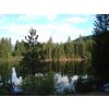 View from my chalet at Mount Shasta Resort