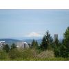 View of Mount Hood from Rose Garden