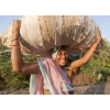 Woman field worker, returning at end of day with cereal, on road near Bhuj, Gujarat, India.