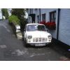 Saturday 15th June 08.
Mill Hill between The Coombe and Landaviddy Lane Polperro