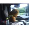 Ted.  Relocated to Ross's 7.5 tonner whilst the Minivan is off the road for new wipers.