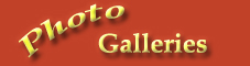 Photo Galleries