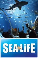 Sea life centre Blackpool