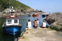 Polperro Harbour