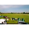 Kestrels Albion 2002